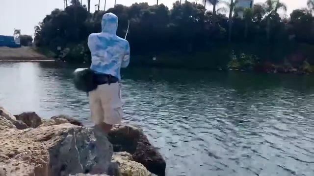 Ep. 1 Long Beach Bonito bite via LuckyCraft Flashminnow 110sp. смотреть онлайн