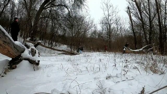 Зимова історія