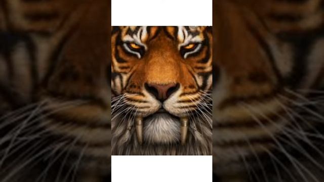 Музыка моя дикайа касандра смотреть онлайн
