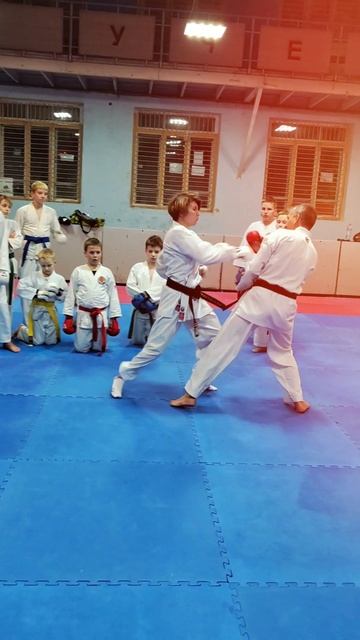 Подготовка к соревнованиям по Кумитэ смотреть онлайн