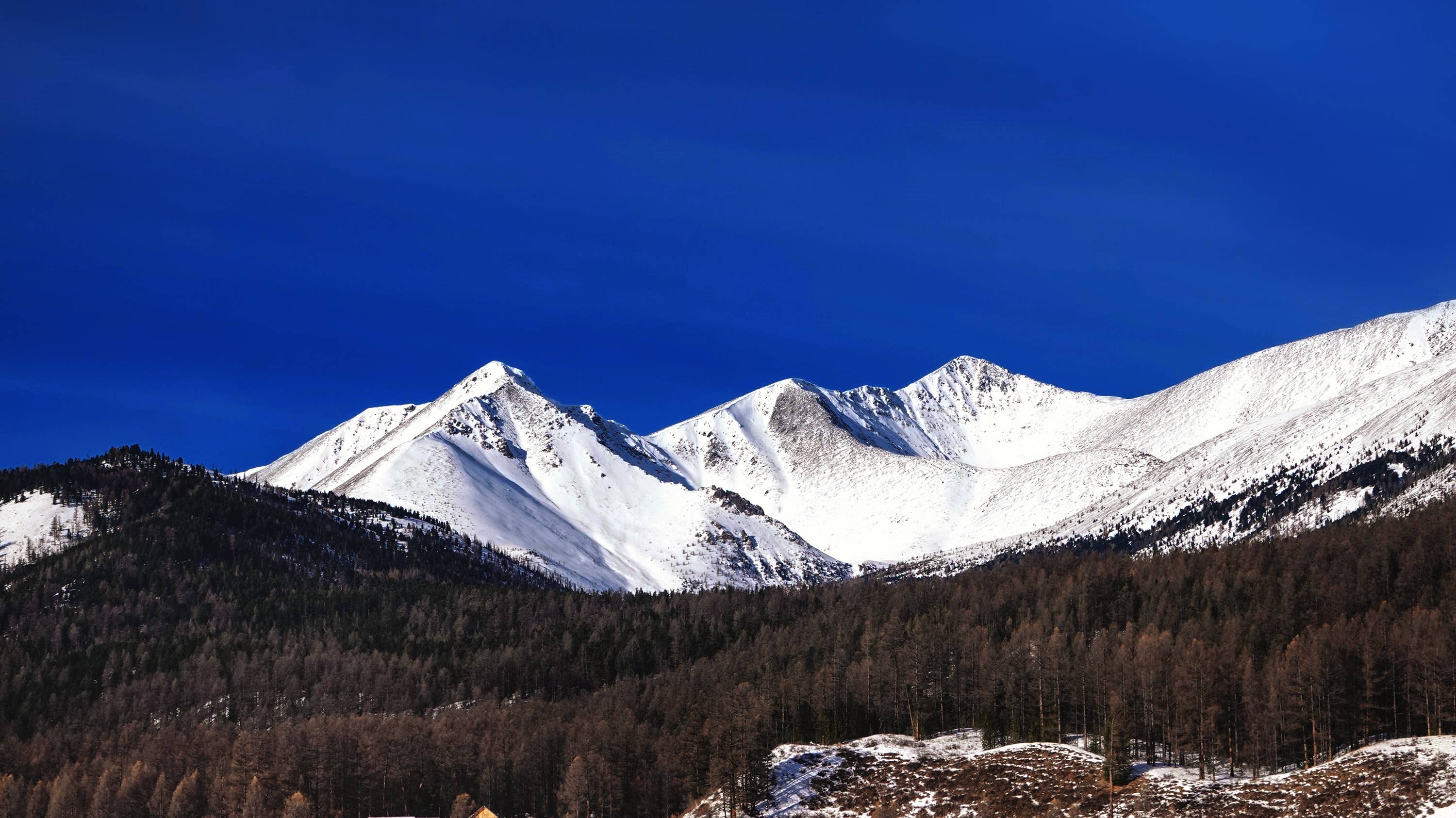 ЛЕГЕНДА О ПОЗАРЫМЕ