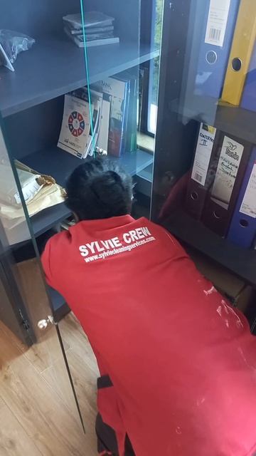 POST CONSTRUCTION CLEANING|OFFICE DEEP CLEANING|SANITATION &DISINFECTION|POST RENOVATIONS CLEANING смотреть онлайн