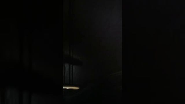 Скейт бесплатно чтоооо????skatebord free whaaaatttt???? смотреть онлайн