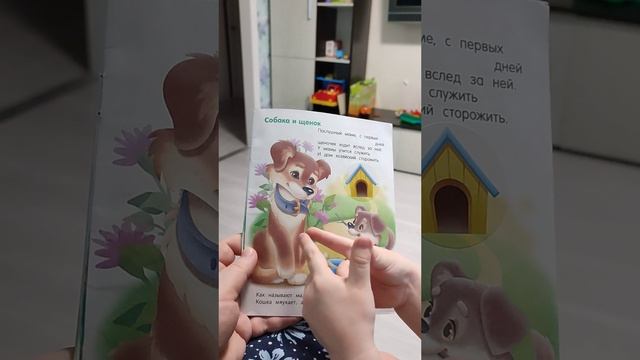 Развивающее занятие с ребенком двух лет. Саша рассказывает свой первый стих))) смотреть онлайн