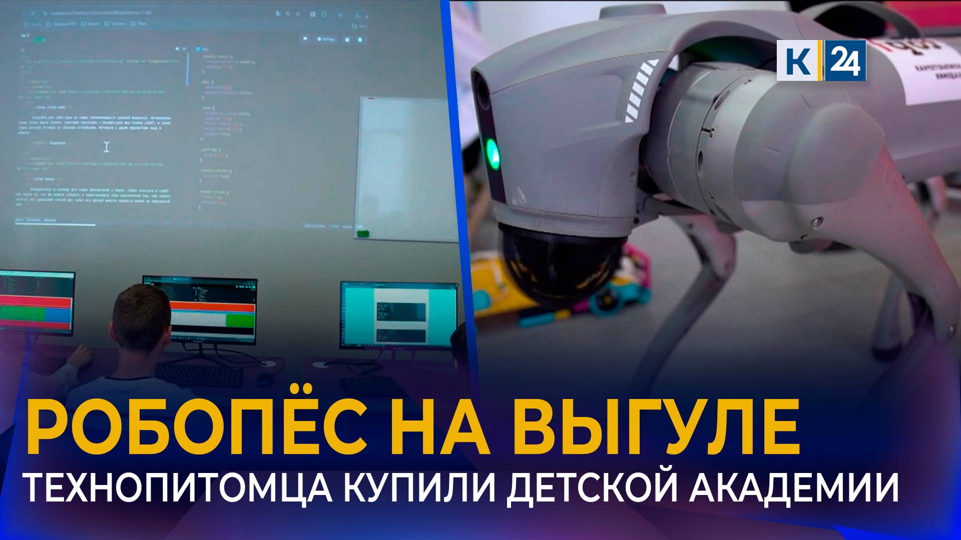 Пса-робота заметили на улицах Апшеронска смотреть онлайн