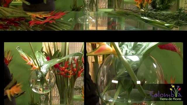 Cómo decorar eventos con flores tropicales смотреть онлайн