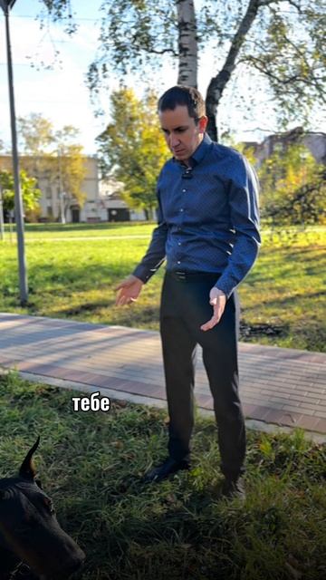 Коллекторские звонки больше не будут вас беспокоить!