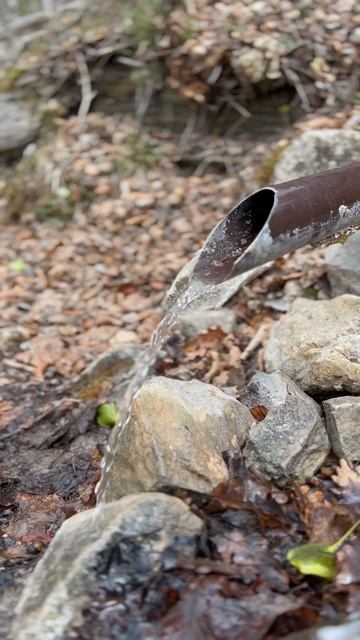 Расслабление смотреть онлайн