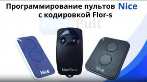 Программирование пультов Nice FLO 2RS и Nice FLO 2RE