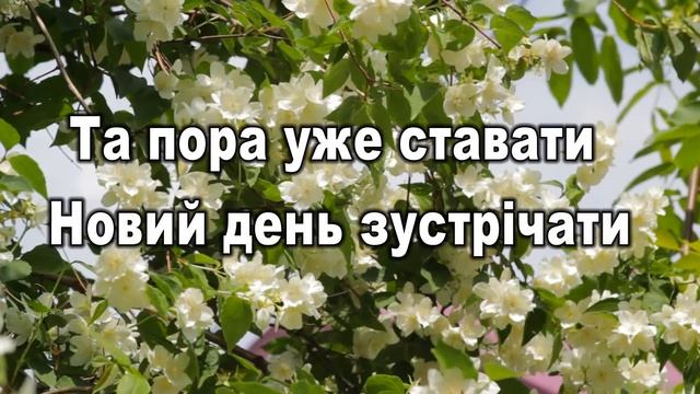 Привітання з Неділею, привітання Доброго ранку, Неділя привітання, Доброго ранку гарного дня смотреть онлайн