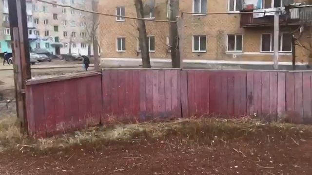 В Шемонаихе планируют построить новую хоккейную коробку смотреть онлайн