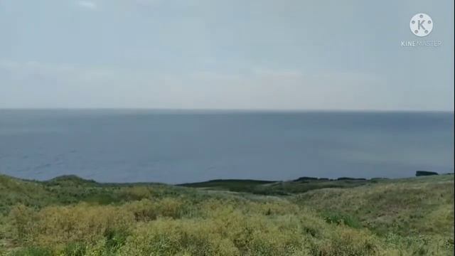 Нападения божьих коровок под Таганрогом. смотреть онлайн