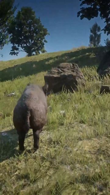 最高のサバイバルスキル , 1510 , #shorts смотреть онлайн