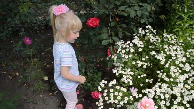 17 сентября 2022 г. смотреть онлайн