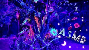 АСМР в МОРСКОМ МУЗЕЕ, близкий липкий шепот / Gentle ASMR