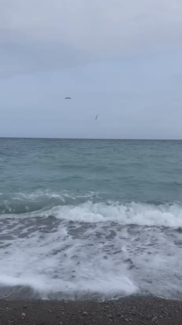 Ялта 💖💖💖 Море 🌊🌊🌊 смотреть онлайн