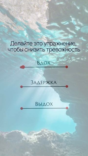 Снижаем тревожность #дыхание #дыхательныепрактики #freediving #психология смотреть онлайн