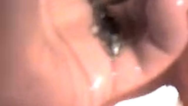 Common dragonet - Callionymus lyra смотреть онлайн