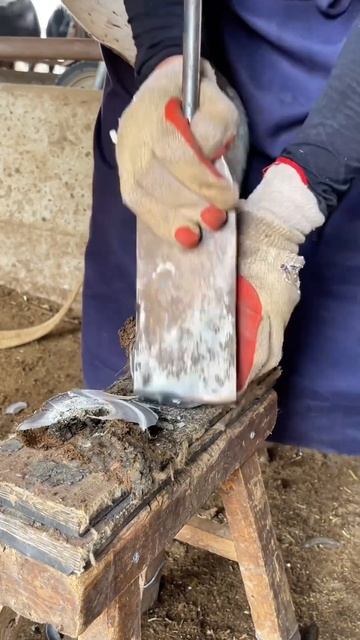 Clean, smooth and trimmed donkey hooves ASMR #asmr #hoof #trimmer #donkey #animals #hoover #farming смотреть онлайн