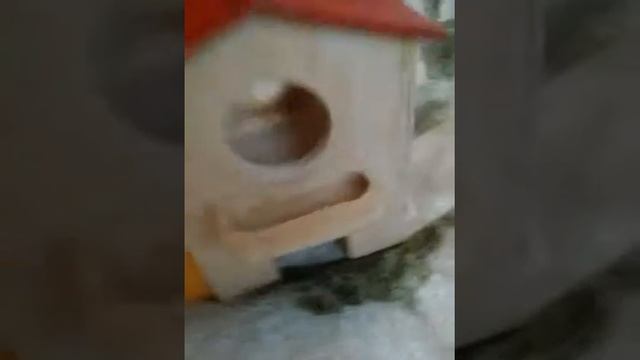 Покупки для моих животных. смотреть онлайн