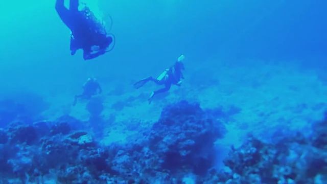 Diving the Fingers смотреть онлайн