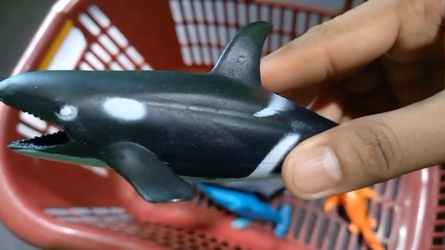 Hunting Found Jurassic World Evolution 2, dinosaurus, hiu megalodon, blue shark, whale shark смотреть онлайн