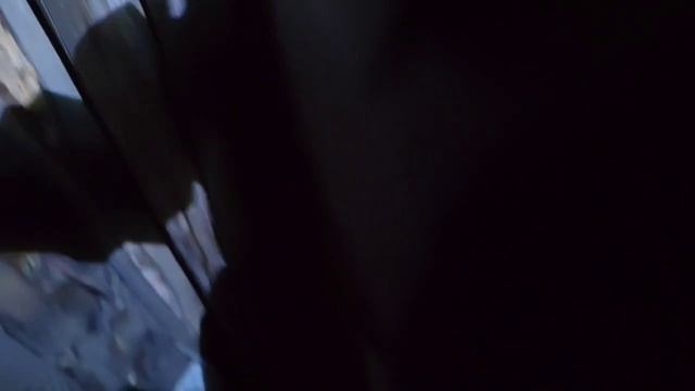 Глухарь в сосну