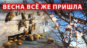 УРА ПРИШЛА ВЕСНА!!!
