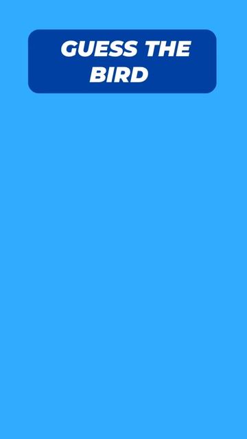 Guess The Bird 2 #shorts смотреть онлайн