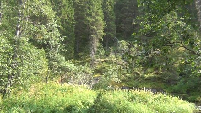 Водопад Белые Мосты.mp4 смотреть онлайн