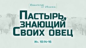 Проповедь: «Ев. от Иоанна: 58. Пастырь, знающий Своих овец» (Алексей Коломийцев)