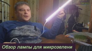 Лампа для микрозелени: обзор покупки