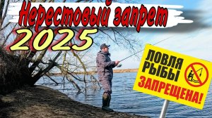 НЕРЕСТОВЫЙ ЗАПРЕТ 2025! На что ловить можно Рыбалка на спиннинг ЗАПРЕЩЕНА