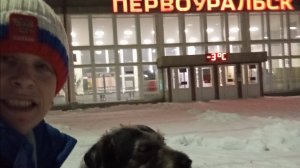 Поездка в Первоуральск с собакой. 10-11 марта 2025