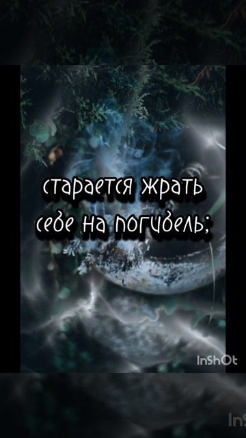 Речи Высокого 20 смотреть онлайн
