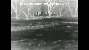 Неудачная охота на шакала в Волгоградских степях. Прицел Sytong XM 06-50 LRF