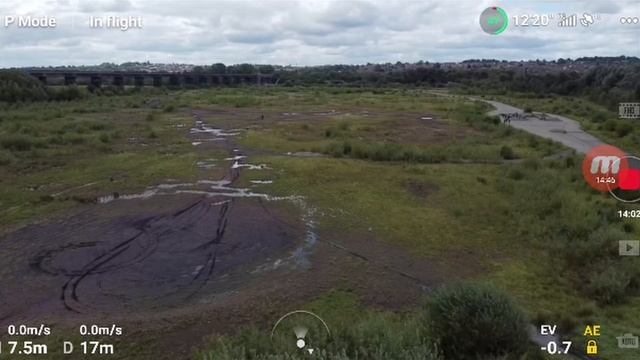 Mavic Mini DJI Fly App Camera Pan Control смотреть онлайн