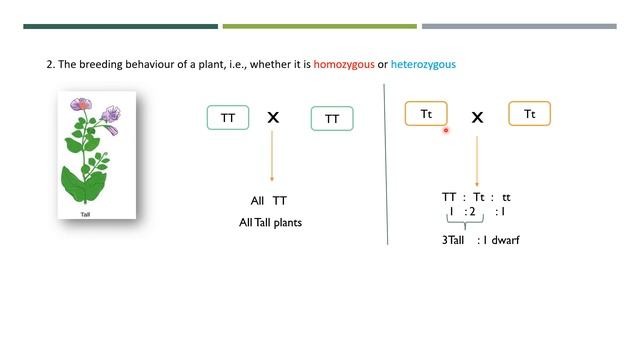 progeny test || vilmorin principle || plant breeding || ICAR jrf смотреть онлайн