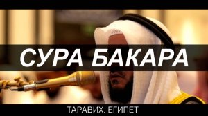 СУРА БАКАРА СЛУШАТЬ КОРАН ПЕРЕД СНОМ И УТРОМ
