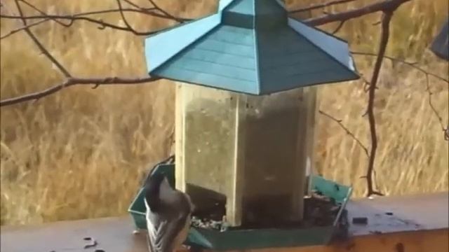 Inner silence Внутренняя тишина