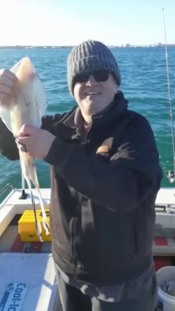 Catch and cook squid #shortvideo #shortfeed #shortsvideo #shorts #short #shortsyoutube #fishing смотреть онлайн