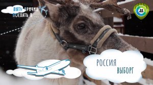 Посетить оленью ферму и искупаться в молочной ванне. Путешествуем в Ленинградскую область зимой