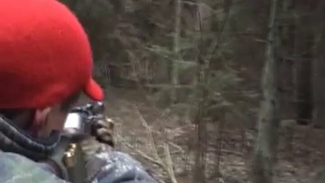 Загонная охота на копытных в Беларуси (часть1).f4v смотреть онлайн
