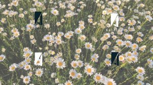 Музыкальный видео фон на 9 мая. Стих «Зинка». Фоновая видео заставка. Футажи, заставки.