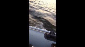 Лодочный мотор hangkai 4 с лодкой Аква 2800 ск.