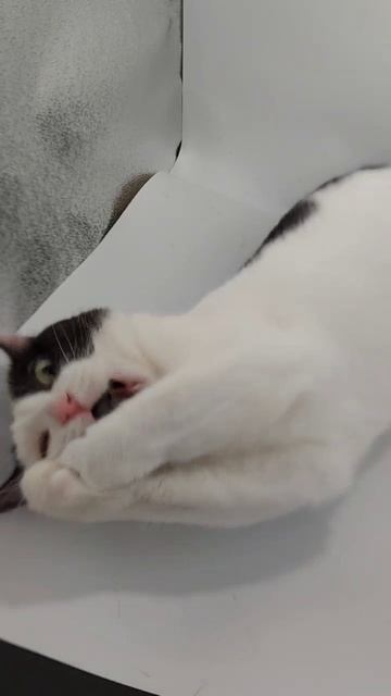 Video_2025-03-25_20-05-57