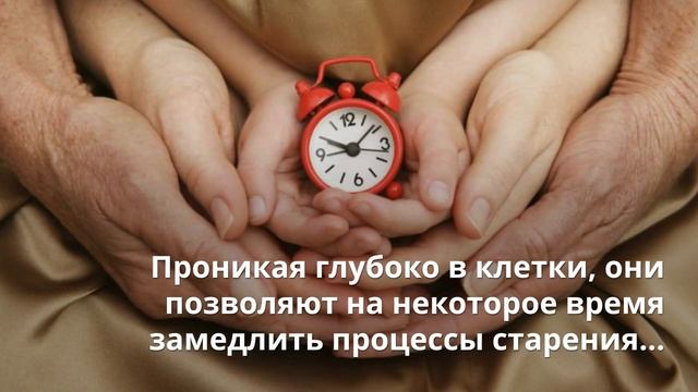 Berrisom смотреть онлайн