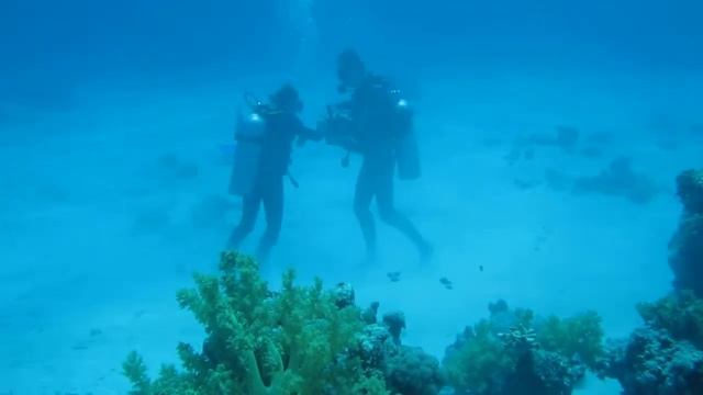 Underwater Dance смотреть онлайн