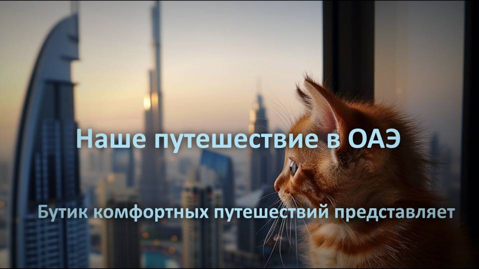 Небольшое видео о нашей поездке в Арабские Эмираты.