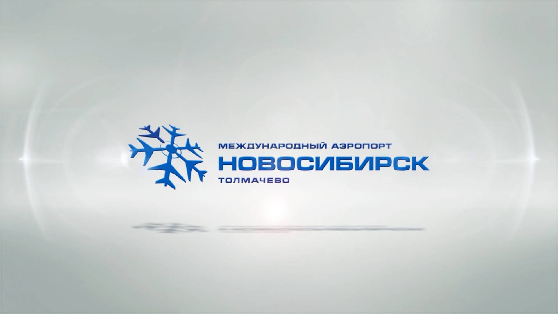 Анимация логотипа ТОЛМАЧЕВО смотреть онлайн